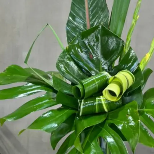 Arreglo de verde chloris